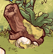 Another fallen log