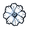 White (Late fall)