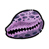 Snakehead cowrie