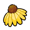 Coneflower