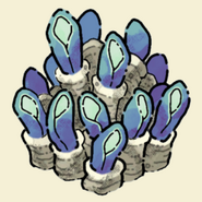 Giant Anemone