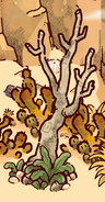 A dead tree