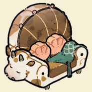 Seashell Antique