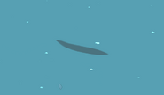 The shadow of a tiny energetic fish.