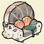 Seashell Antique