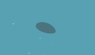 A blob shadow of an essence or a seashell.
