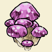 Russula Mushroom