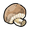 Brown mushroom