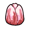Tulip (Hybrid)