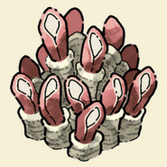 Giant Anemone