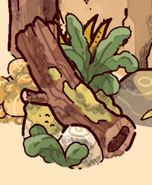 A fallen log