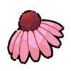 Coneflower (Wild)