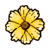Aster
