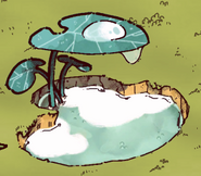 A pond