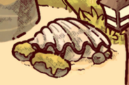 Giant clam shell