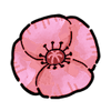 Poppy (Exotic)