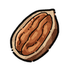 Pecan