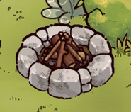 An abandoned campfire