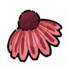Coneflower (Hybrid)