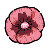 Poppy (Wild)