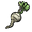 parsnip