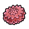 Dahlia (Wild)