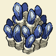 Giant Anemone