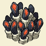 Giant Anemone