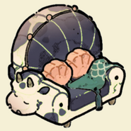 Seashell Antique