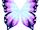 Purple Butterfly Wings