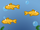 Fish Background