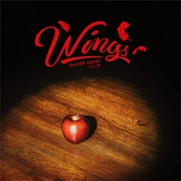 SNH48 Flying Get 中国版 CD&DVD