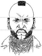 Mr. T