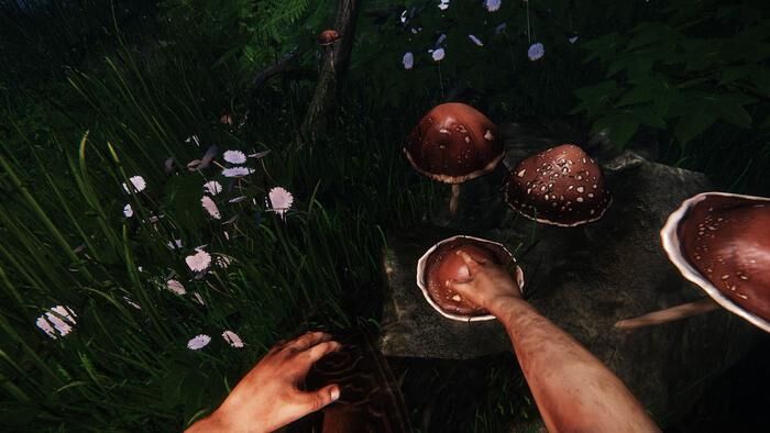 Picking Shrooms.jpg