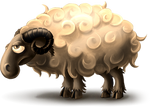 Овца.png