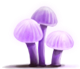 Розовый гриб ico.png