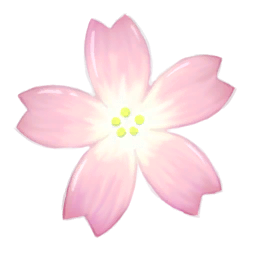 邦楽 WORD IN THE PETALS - CHERRYBOY FUNCTION Cherryboy Function – Word In The Petals – CD (Album), 2016