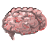 Zombie Brain.png