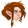 Female Dwarf icon