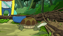 Wildernessa 00027.png