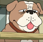 Fred.png