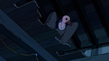 Vulture's Nest (206).png