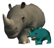 Rhinocéros