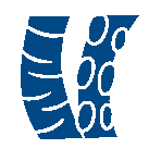 Le kraken