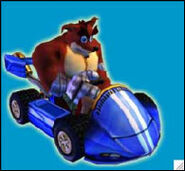 Crash Nitro Kart
