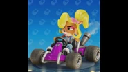 Crash Team Racing: Nitro-Fueled