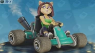 Crash Team Racing: Nitro-Fueled