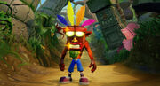 Crash Invincible.jpg
