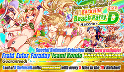 Fever on the Beach Backside Beach Party Hatcher Side D