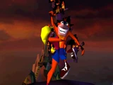 Tawna Bandicoot